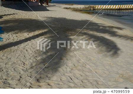 Mexico,Cozumel Summer 砂浜のヤシの影 47099559