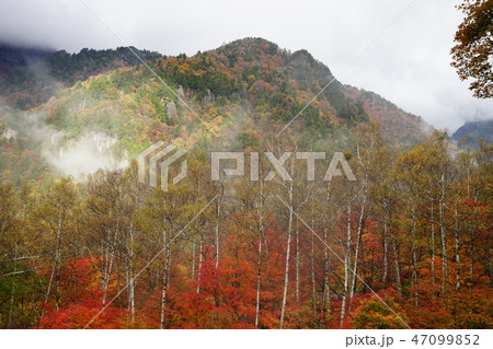 奥飛騨温泉郷神坂の紅葉 47099852