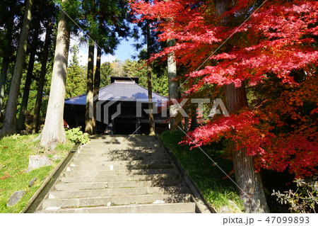 黒石寺の紅葉 47099893