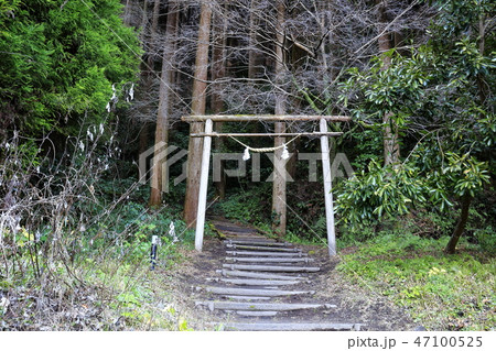 鹿児島　溝部周辺観光地 47100525