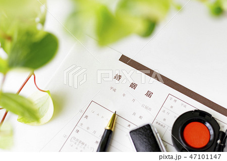 婚姻届 47101147