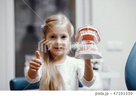 Artificial jaw in the dentist's office Artificial jaw in the dentist's office 47101330
