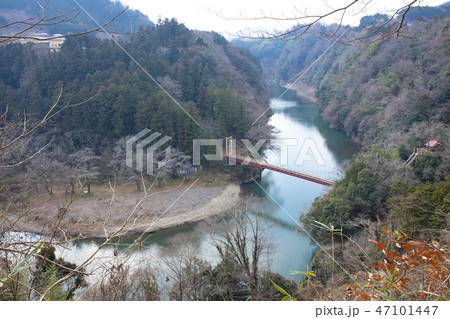 冬の相模川と弁天橋 47101447