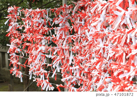 おみくじ５ 47101872