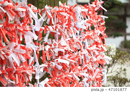 おみくじ１０ 47101877