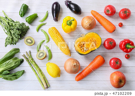 色分けされた野菜 色分けされた野菜 47102209