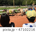 競馬 47102216