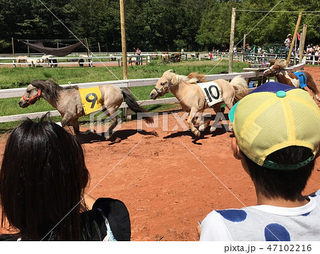 競馬 競馬 47102216