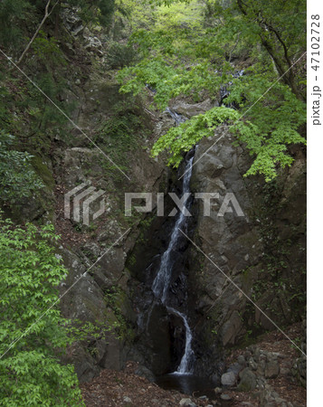神奈川県　大山の二重滝 47102728