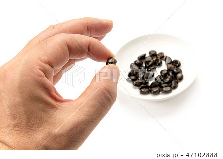 アテモヤの種子 47102888