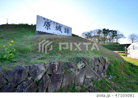 世界文化遺産原城跡　長崎県南島原市 47103081
