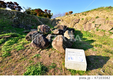 世界文化遺産原城跡　破却された石垣　長崎県南島原市 47103082