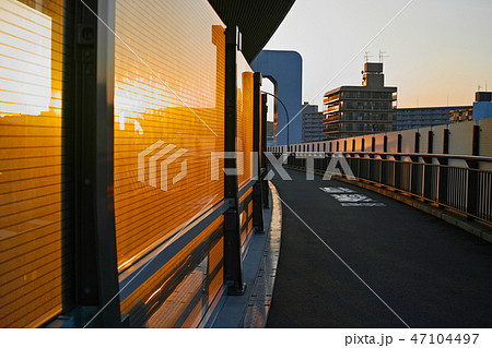 夕方の岸谷生麦線の歩道 47104497