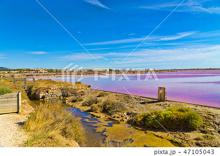 View of the saline Saint-Martin in Gruissan 47105043