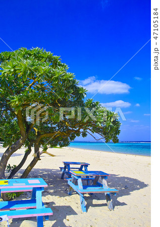 宮古島東海岸。新城海岸の風景 47105184