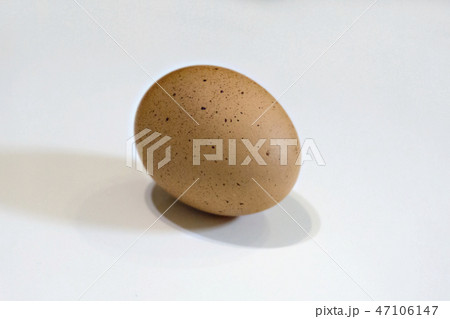 Single brown chicken egg isolated on white background Single brown chicken egg isolated on white background 47106147
