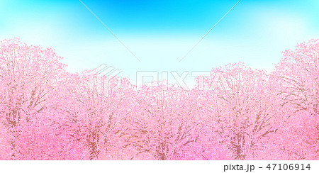 桜 春 花 背景 のイラスト素材