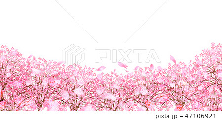 桜 春 花 背景 のイラスト素材