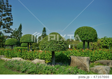 タイ王国ラマ9世公園内の風景 47107660