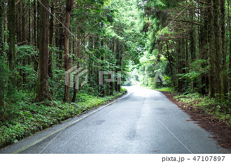 山道 47107897