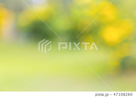 Abstract blur green yellow nature background. Abstract blur green yellow nature background. 47108260