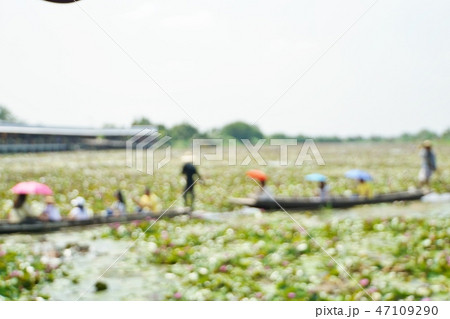 タイ王国ナコーンパトム県レッド・ロータス水上マーケット、蓮池（スイレンの池）ツアーのイメージ写真 47109290