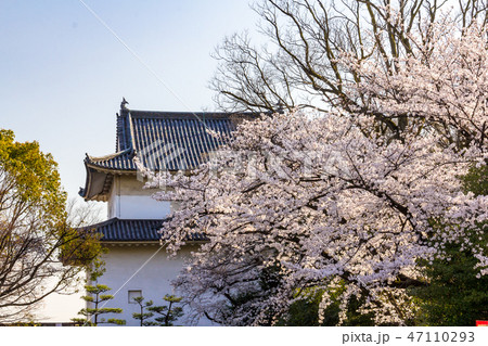 六番櫓と桜 大阪城 47110293