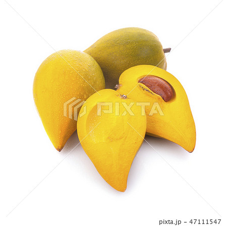 Egg fruit, Canistel, Yellow Sapote(Kunth) 47111547