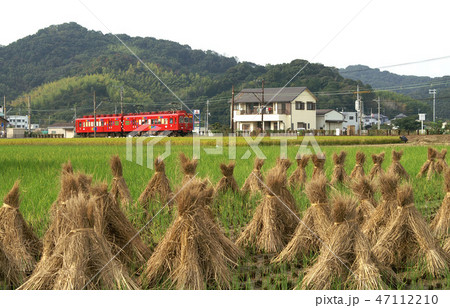 秋の和歌山電鉄貴志川線 47112210