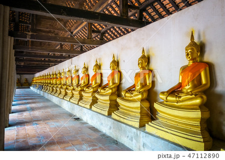 Gold Buddha statues, Ayutthaya, Thailand 47112890