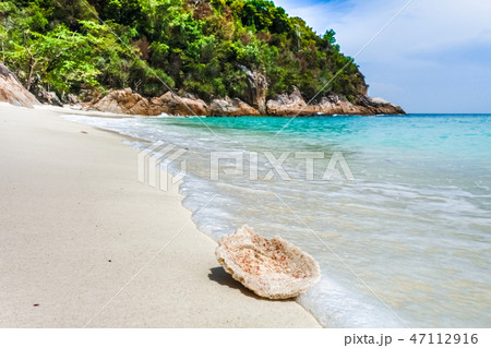 Coral on a beach, Perhentian Islands, Malaysia Coral on a beach, Perhentian Islands, Malaysia 47112916