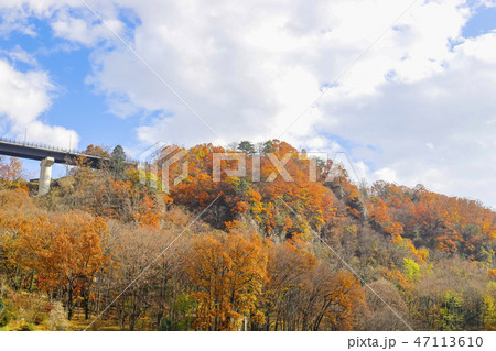 【山梨県】国の登録記念物　紅葉の七里岩 47113610