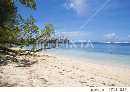 パラオ共和国 ペリリュー島 オレンジビーチの写真素材