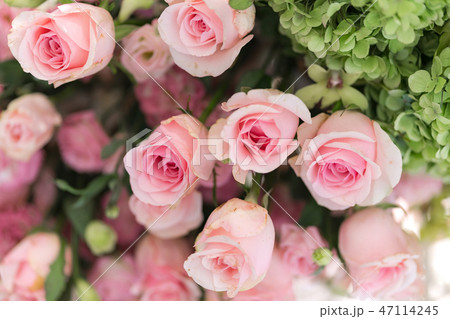 Mixed wedding flower, Multi colored floral Mixed wedding flower, Multi colored floral 47114245