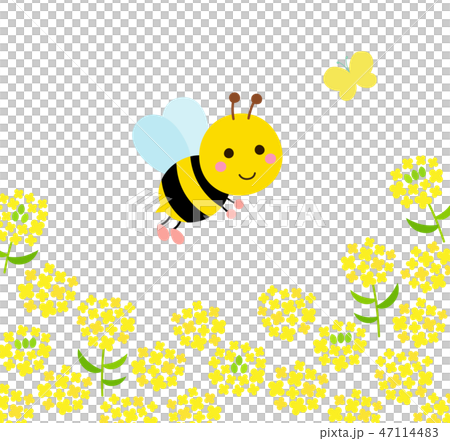Bee and butterfly rapeseed Bee and butterfly rapeseed 47114483