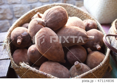 バオバブの実 バオバブの実 47114836