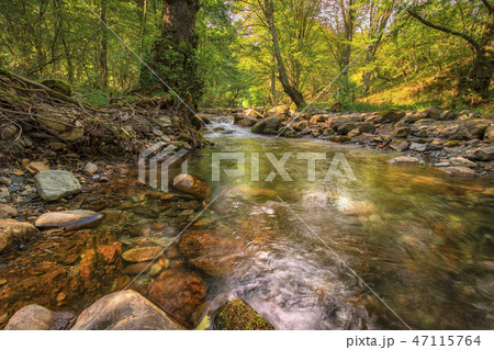 Beautiful autumn landscape 47115764