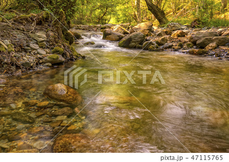 autumn landscape  47115765