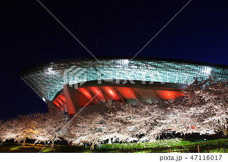 満開の埼玉スタジアム 満開の埼玉スタジアム 47116017