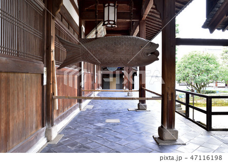 萬福寺斎堂の開梆 47116198