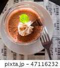 チョコレートプリン 47116232