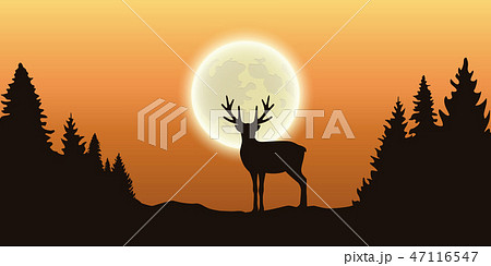 lonely reindeer in forest at full moon and orange sky lonely reindeer in forest at full moon and orange sky 47116547