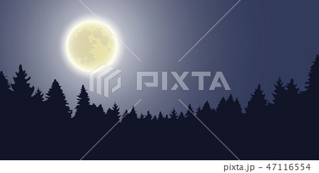 moon shine forest landscape by night 47116554