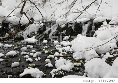 冬のふきだし公園の湧水 冬のふきだし公園の湧水 47117097