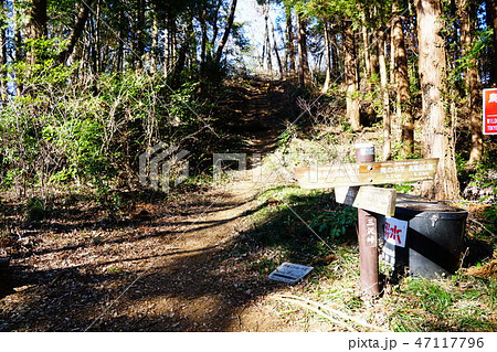 南高尾山稜　三沢峠 47117796