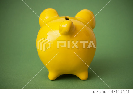 yellow piggy bank on green background  47119571