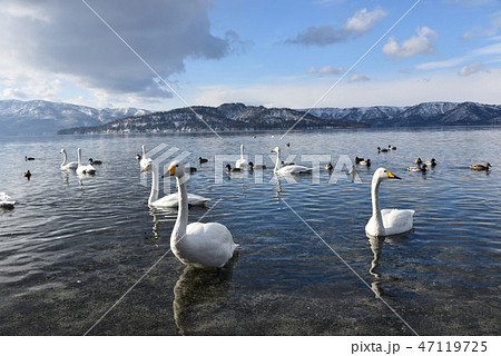 冬の屈斜路湖 47119725