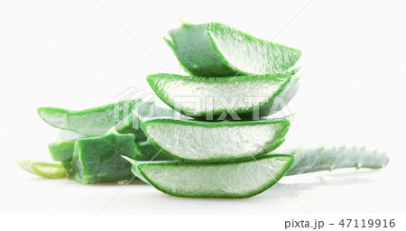 Close-Up Of Aloe Vera Slice On White Background Close-Up Of Aloe Vera Slice On White Background 47119916