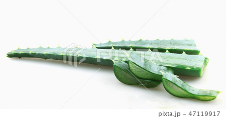 Close-Up Of Aloe Vera Slice On White Background 47119917