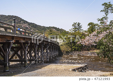 春の伊勢神宮 宇治橋と桜 伊勢神宮内宮 春の伊勢神宮 宇治橋と桜 伊勢神宮内宮 47121993